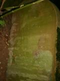 image of grave number 20059
